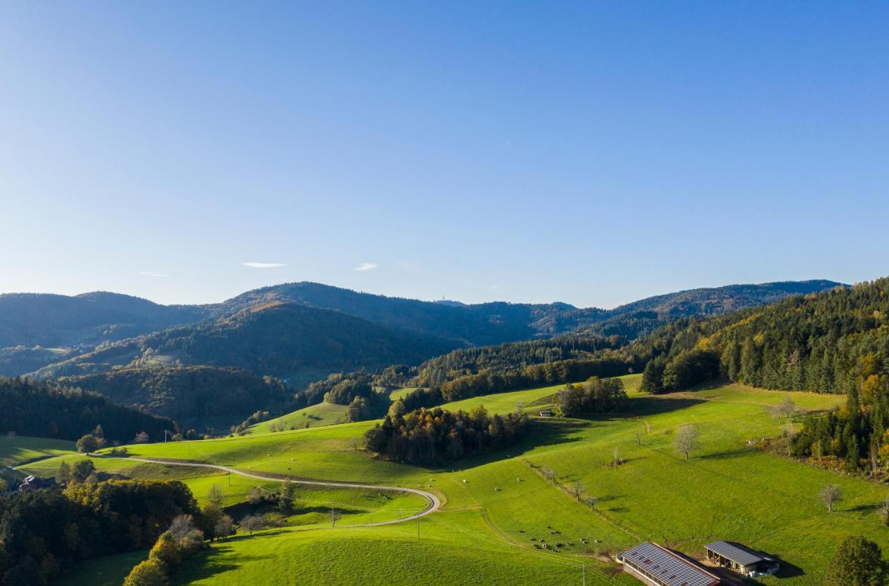 Hotel-Restaurant Sennhuette Im Herzen Des Suedschwarzwalds Kleines Wiesental Eksteriør billede