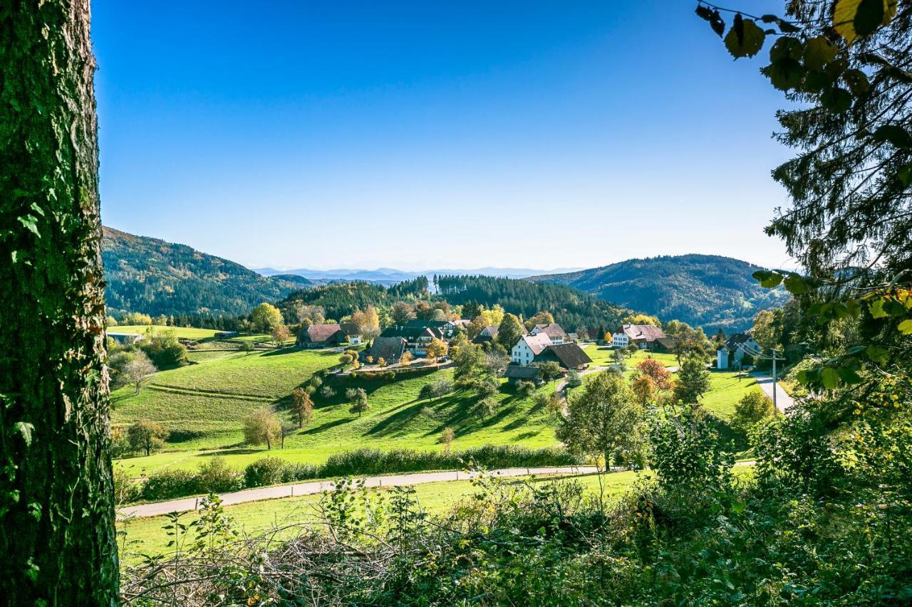 Hotel-Restaurant Sennhuette Im Herzen Des Suedschwarzwalds Kleines Wiesental Eksteriør billede